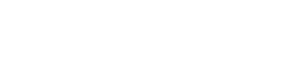 Skyx IOW2027 Header Logo