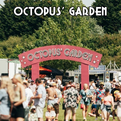 Octopus 24